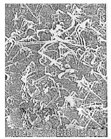 editor1526262933765935.jpg 4.jpg