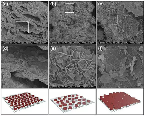 editor1526294811808281.jpg 2.jpg