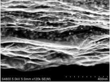 editor1526707096288111.jpg 77.jpg