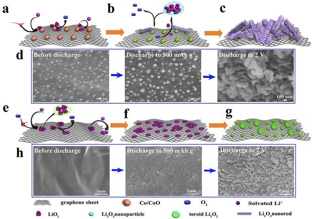 editor1527397159126738.jpg 5.jpg