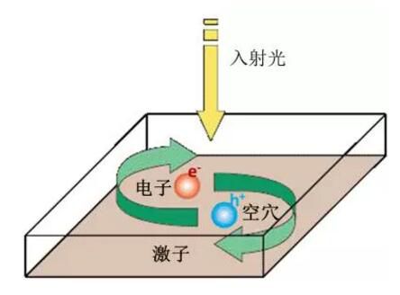 editor1533111321360415.jpg 1.jpg