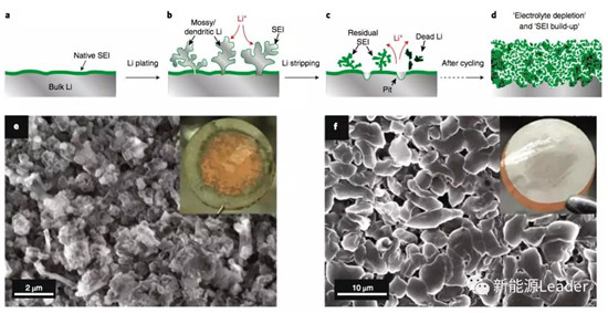 editor1551880375230808.jpg 03.jpg